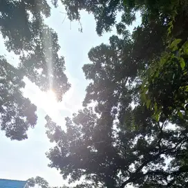 Kavling Kencana Loka BSD. Hadap jalan raya