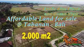 2,100 sqm Land in Kerambitan only 3 mnt to Kelating Beach