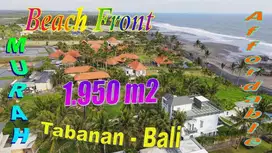 Absolute Beach Front 1,950 m2 Land Sale in Kerambitan