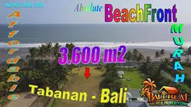 Affordable 3,600 sqm in Kerambitan, Tabanan