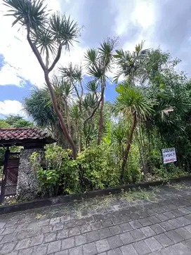 Dijual Tanah Di Duyung Beach Sanur Bali