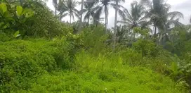 Tanah Los Sungai Ayung Ubud Gianyar