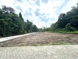 Tanah Jogja Dekat Kampus, Prospek Investasi Kos
