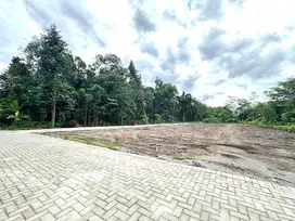 Tanah Murah Jogja Lingkungan Kos-Kosan, Legalitas SHM P
