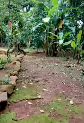 Dijual CEPAT Tanah Pekarangan 150m² Jonggol Bogor timur