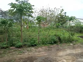 DIJUAL CEPAT TANAH KAVLING MURAH DI SINGOSARI MALANG