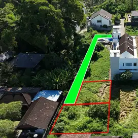 Dijual MURAH SIAPA CEPAT DIA DAPAT Tanah Mas Ubud