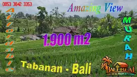 1,950 m2 Mix Dry and Farm Land in Penebel Tabanan