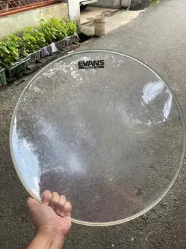 Head Floor Tom Evans