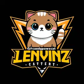 Dicari karyawan catboy and catgirl untuk mengurus kucing