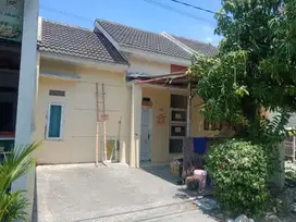 Gading Intan Blok B1 No 53 Driyorejo Gresik
