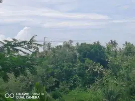 TANAH LOS SUNGAI ayung UBUD bali bukian payangan dkt padma hotel