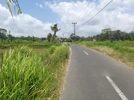Tanah Termurah Full View Sawah Ubud Pejeng