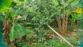 Jual Tanah Murah Cocok untuk Cluster di Kayuringin Bekasi