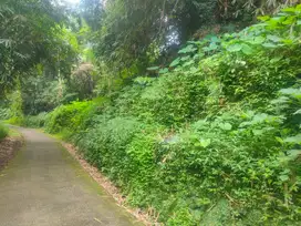 Tanah Perkarangan luas 685m² di Kawasan wisata Kemuning