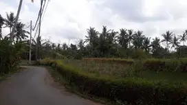 Tanah Super keren size kecil dkt hotel maya ubud gianyar bali