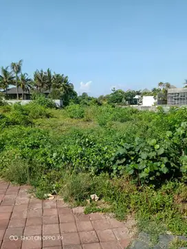 Dijual Tanah Los Pantai / Beach Front di Cemagi Badung