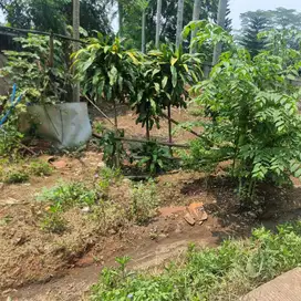 Dijual Tanah Dekat Cisauk Rumpin