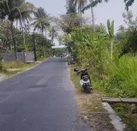 Tanah Sawah Dekat Kampu UII Jl Kaliurang