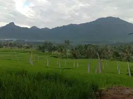 KAVLING MEWAH HARGA RAMAH DI BOGOR TIMUR