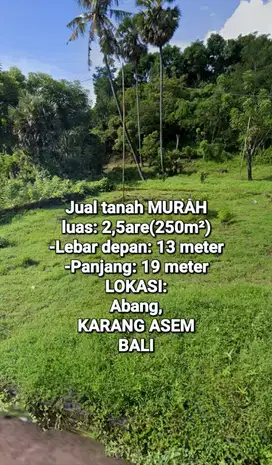 BUTUH JUAL CEPAT TANAH 2,5ARE Karang Asem BALI, view Laut dan Gunung