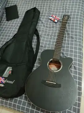 Gitar Akustik Elektrik Tanglewood TWBB-SFCE Blackbird