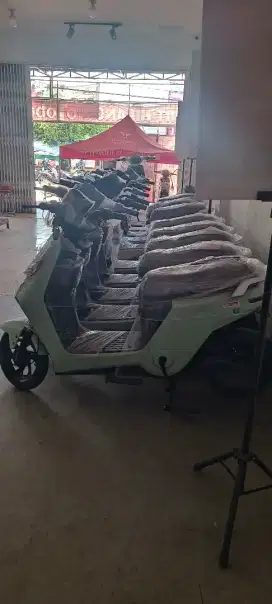 Selis uwinfly d70