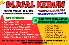 Bebas Nego sampai deal