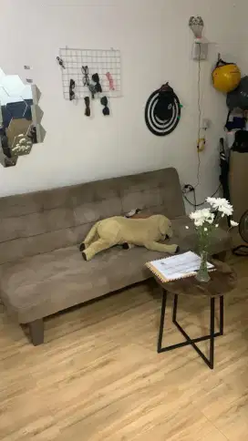 Sofa bed informa
