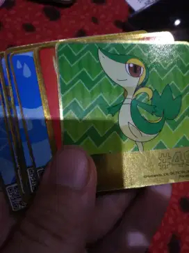 Kartu Nintendo x pokemon
