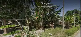DIJUAL TANAH DI AMBULU, JEMBER
