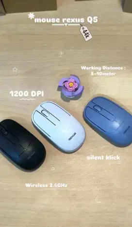 Mouse office rexus Q5