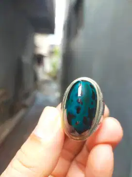 Bacan Coklat mode bohay edisi lebaran  buat THR