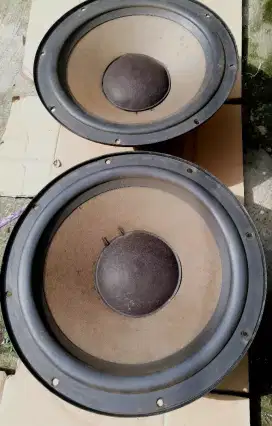 Phillip AD12100/W8 Midbass wofer 12inch made in Holland/Belanda