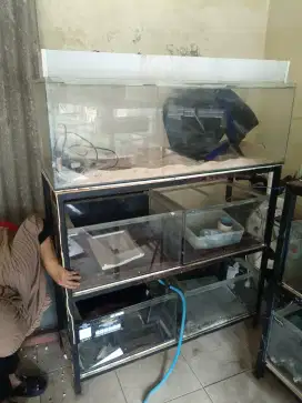 Aquarium Berbagai Ukuran beserta Raknya