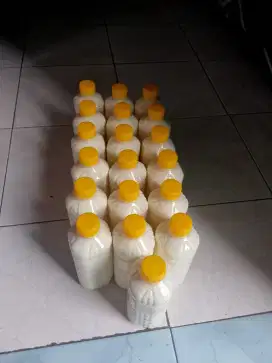 SUSU KAMBING ETAWA ASLI & MURNI