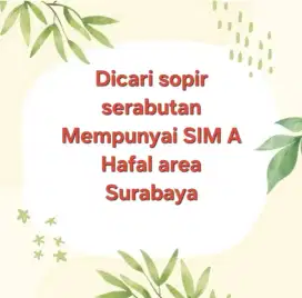 Sopir pick up serabutan