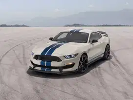 Upgrade/Facelift Ford Mustang GT350 Shelby