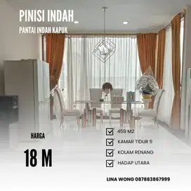 MURAH RUMAH PINISI INDAH - PANTAI INDAH KAPUK UKR 459 M2 KOLAM RENANG