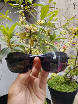 Jual kacamata Maui Jim made in japan