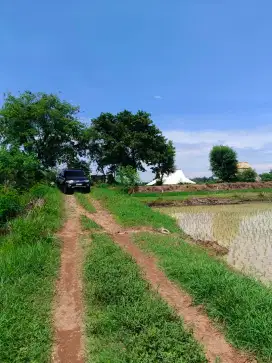Tanah dan sawah