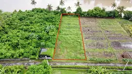 DIJUAL TANAH OANTAI PASUT TABANAN ZONA WISATA