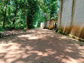 Jual Tanah Klaving Bekasi; 10 Menit Menuju SMAN 2 Setu, SHM Pasti;