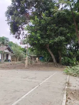 Tanah Jogja di Jual Daerah Rejodani - SHM Pekarangan