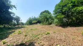 1 Jt-an Kavling SHM Area Cileungsi, Bogor. Bisa Cicil 12x