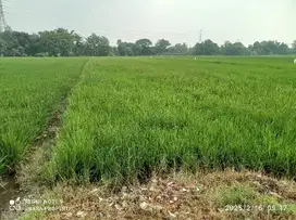 TANAH BENTAKAN BAKI DEKAT SOLO BARU