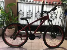 MTB DOMINATE 011 nt polygon
