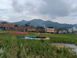 Jual BU sawah 1108m² keluar tol soroja soreang