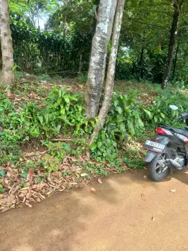 Tanah termurah d ciomas bogor harga 350rb