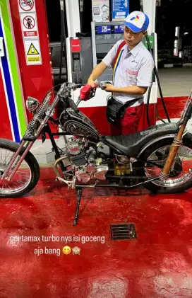 Chopper basic tiger